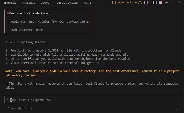 claude_code_init_06