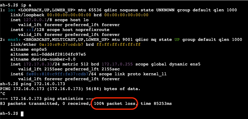 PING_2_to_1_fail
