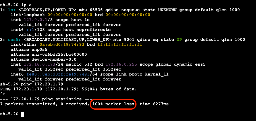 PING_VPC1_to_ONP