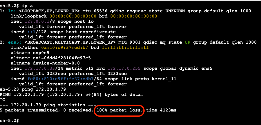 PING_VPC2_to_ONP