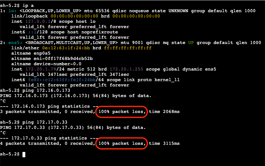 PING_ONP_to_tokyo