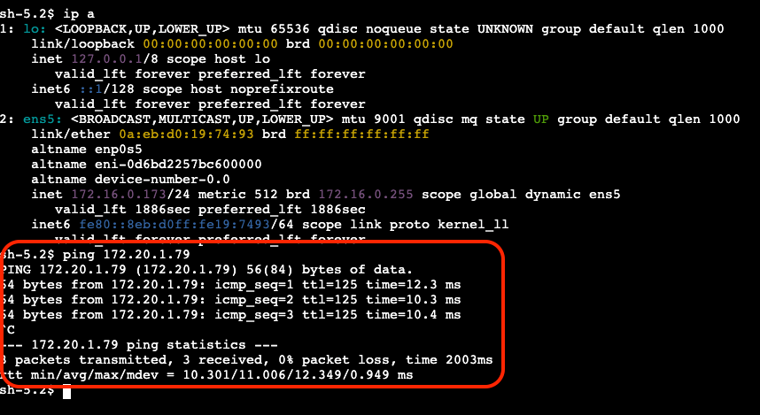 PING_VPC1_to_ONP_2