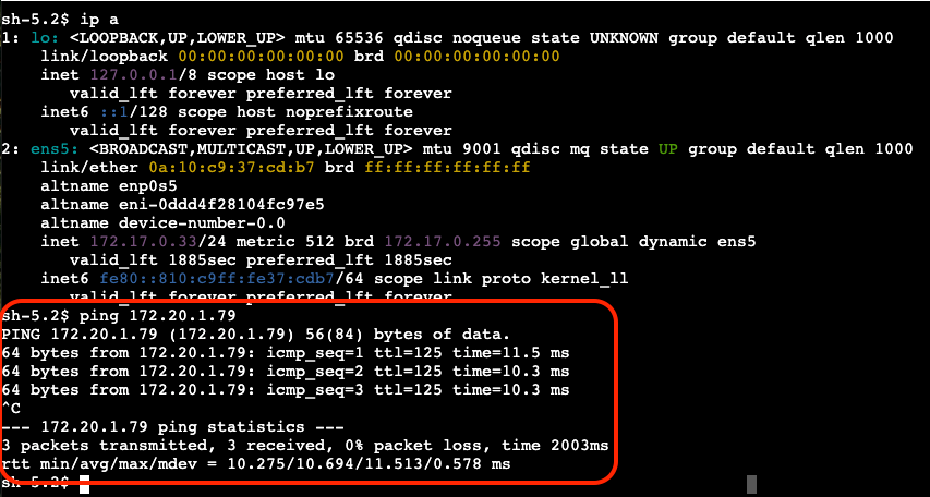 PING_VPC2_to_ONP_2