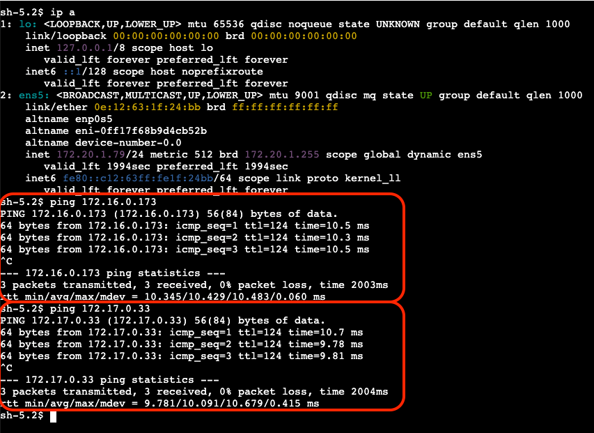 PING_ONP_to_tokyo_2
