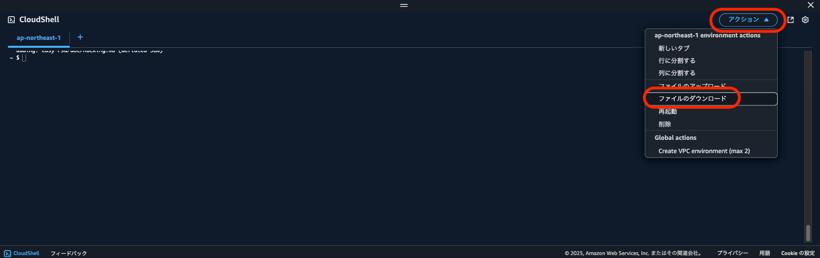 CS_2