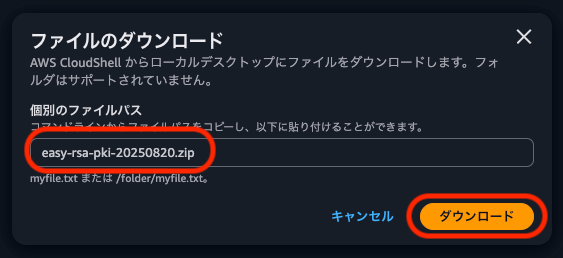 CS_3