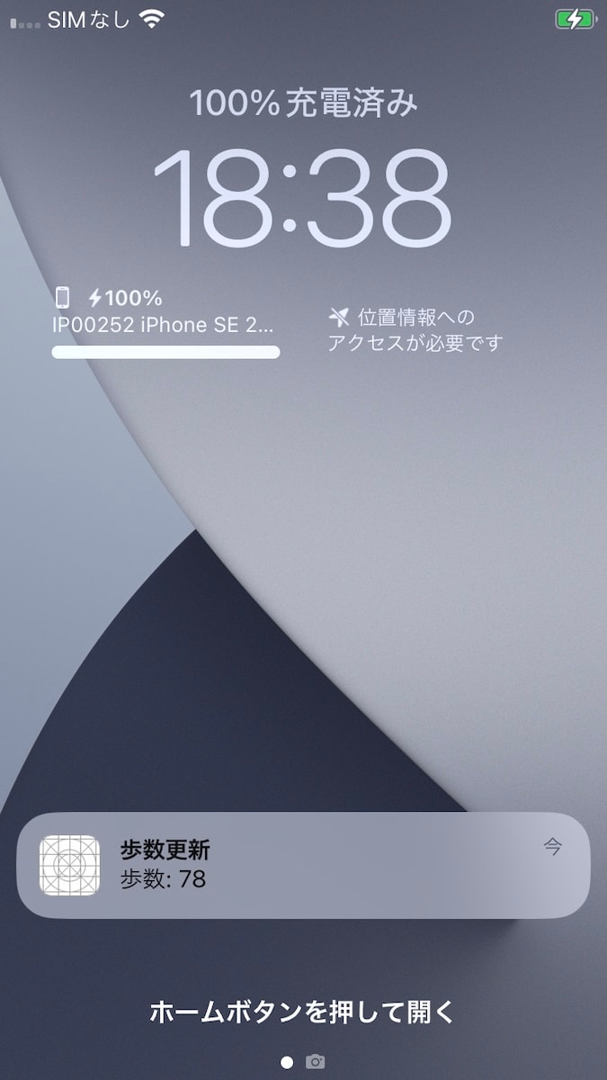 250831_pedometer3