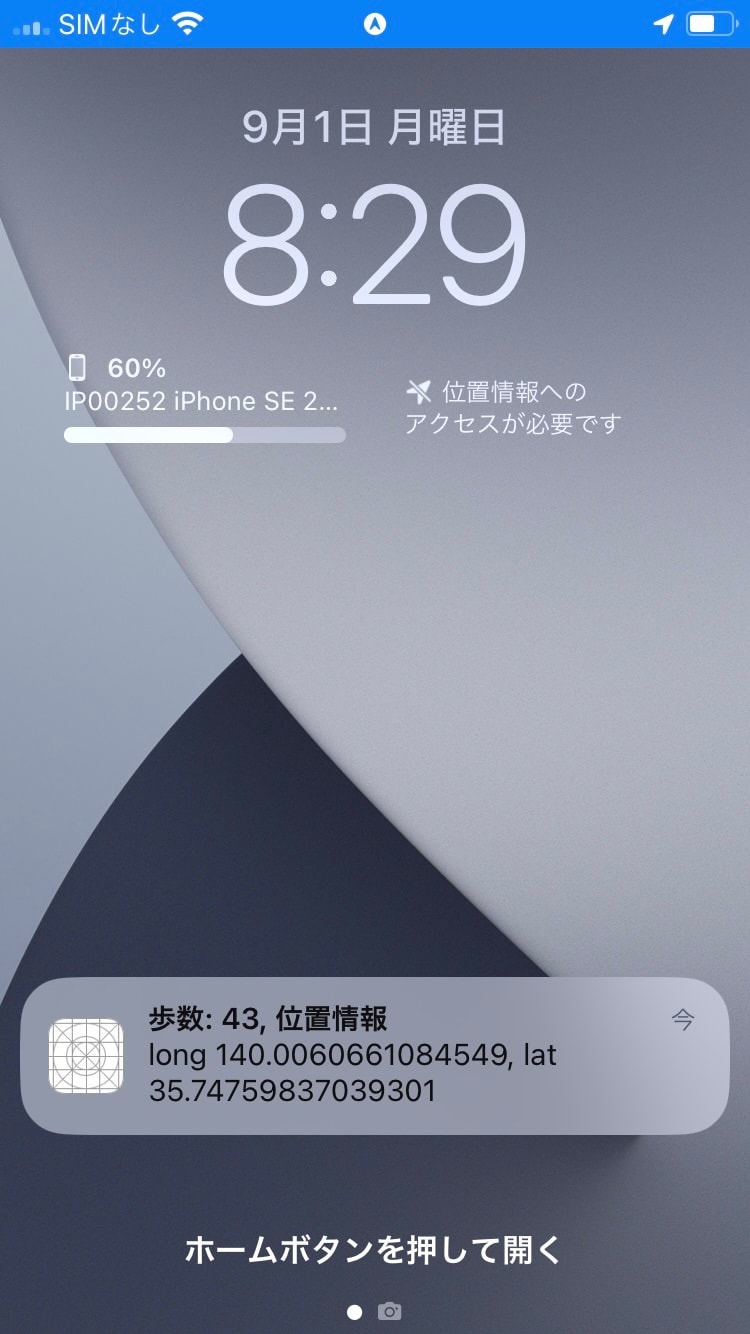 250901_pedometer1