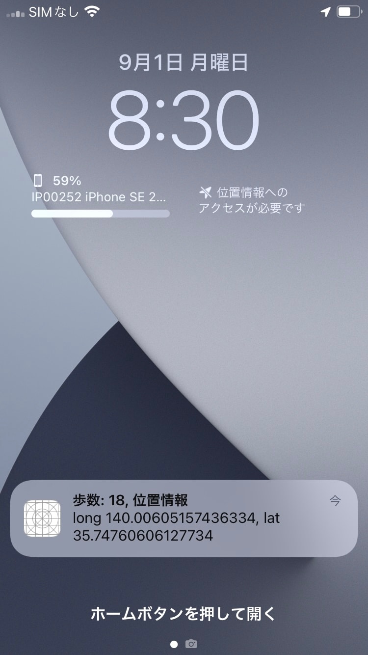 250901_pedometer2