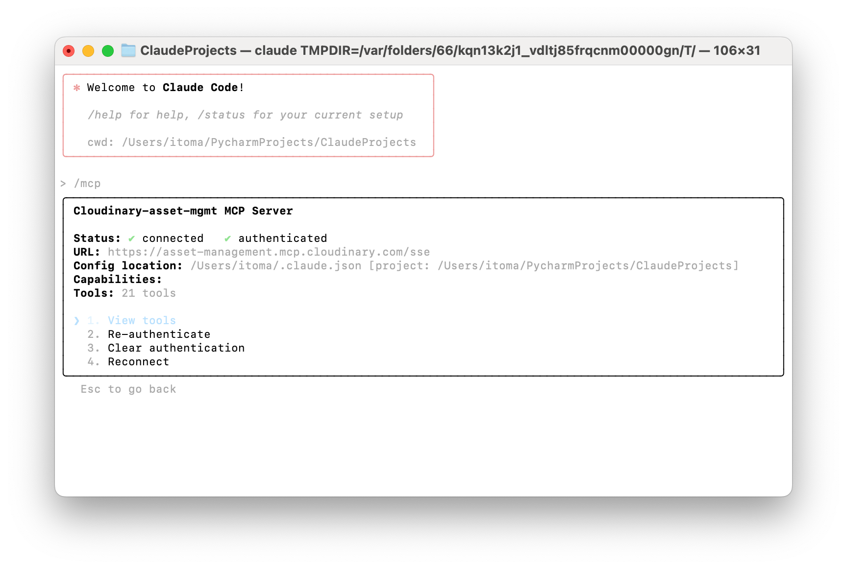 cl-claude-code-mcp