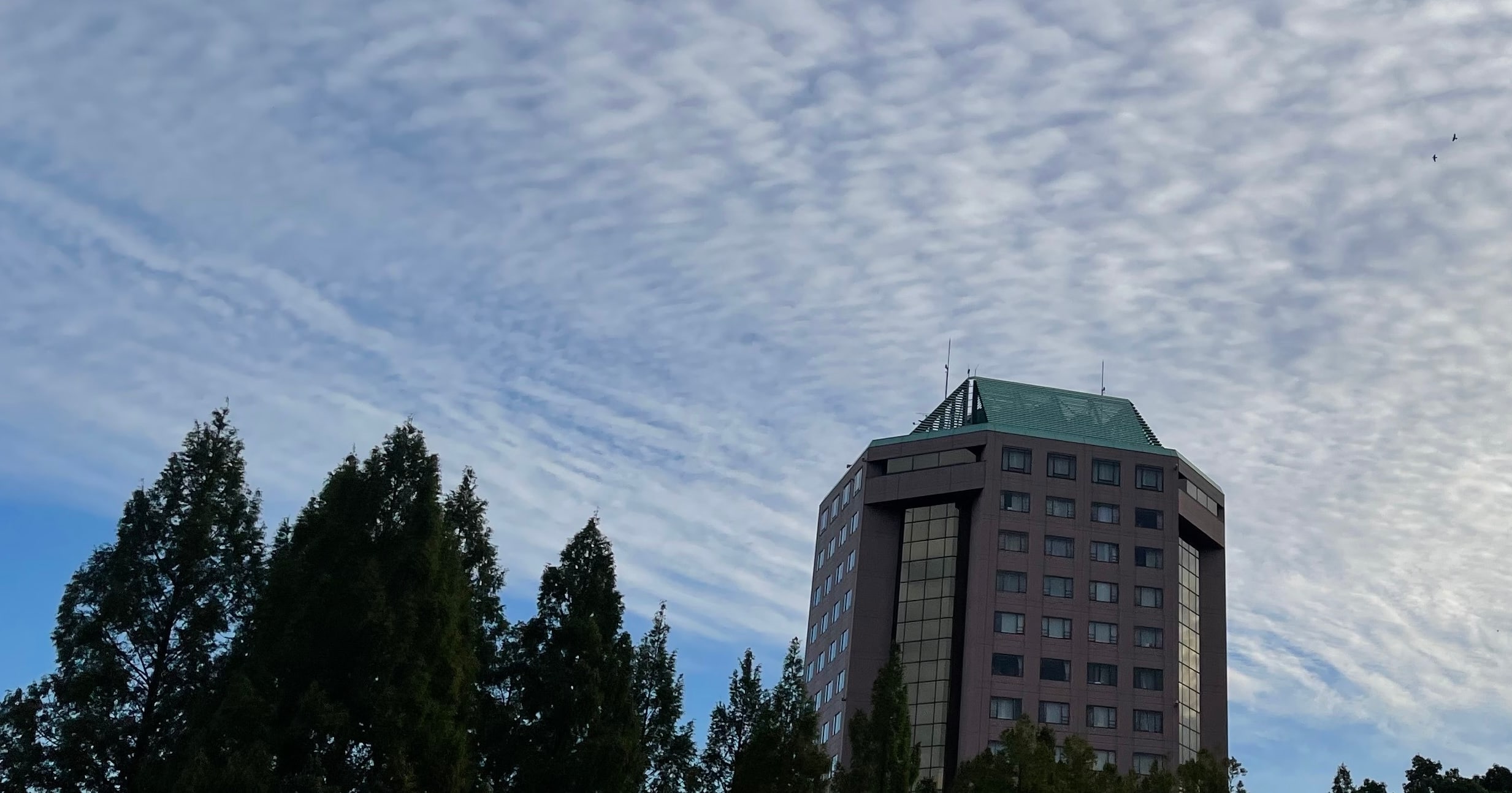 【合宿レポート】運用イノベーション部合宿を実施しました 2025 in リソルの森