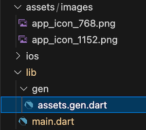 assets.gen.dart