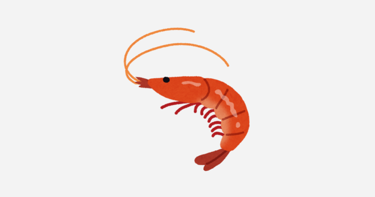 YOLOv12でエビを見つけ出す。