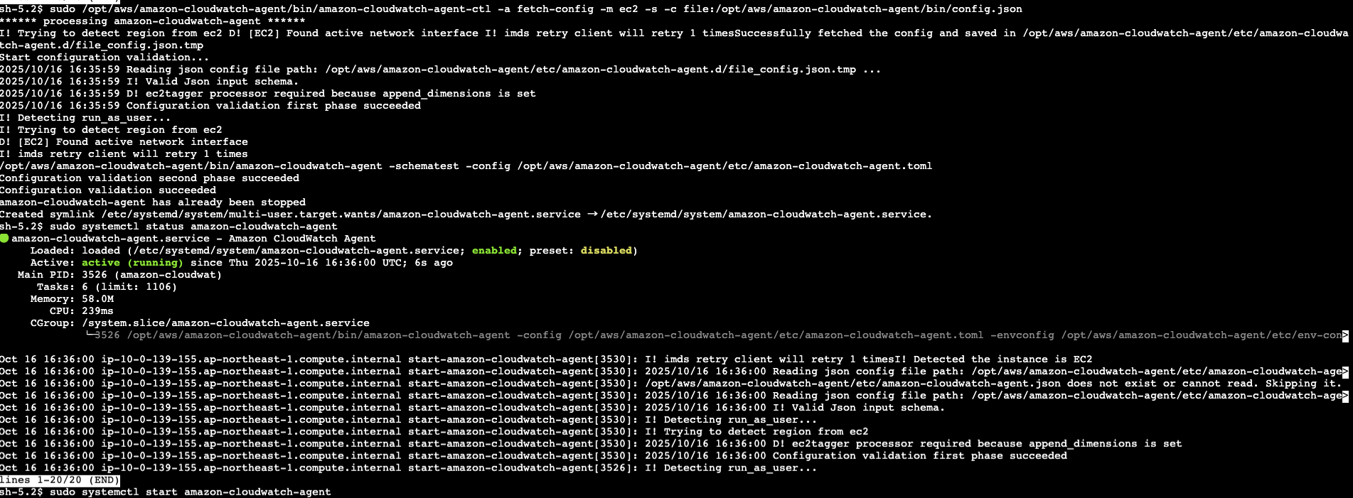 Systems-Manager-ap-northeast-1-10-17-2025_01_39_AM