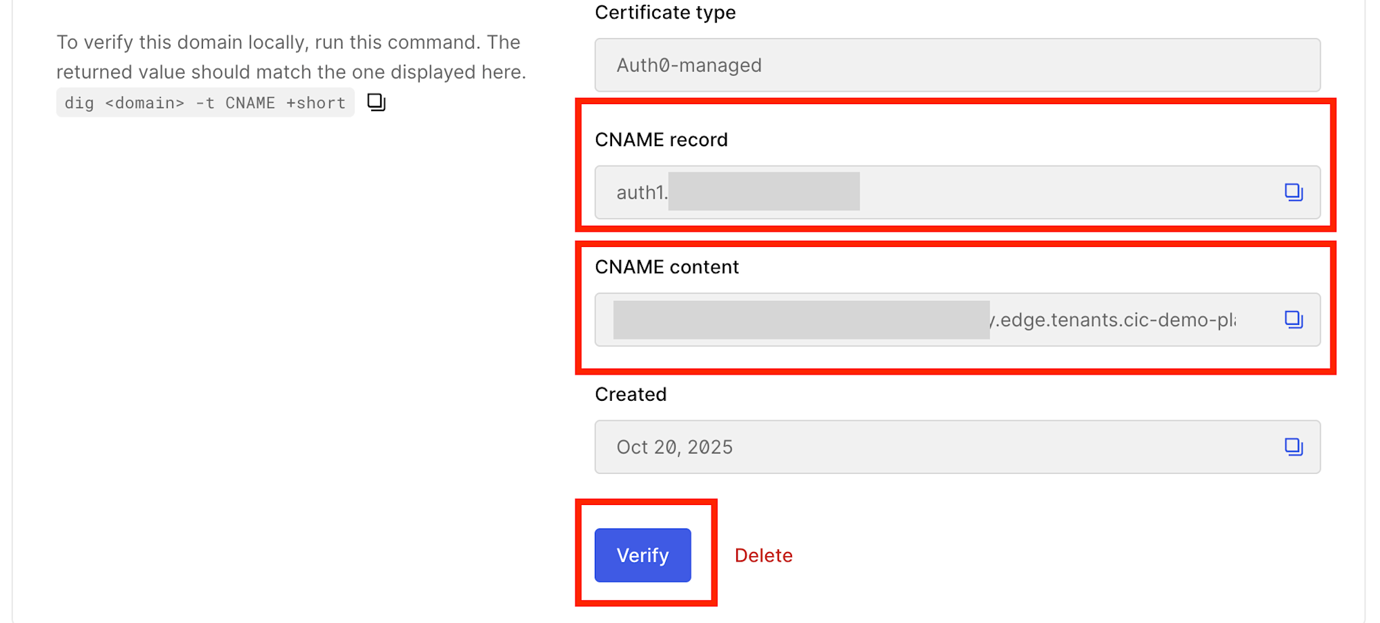 verify-custom-domain