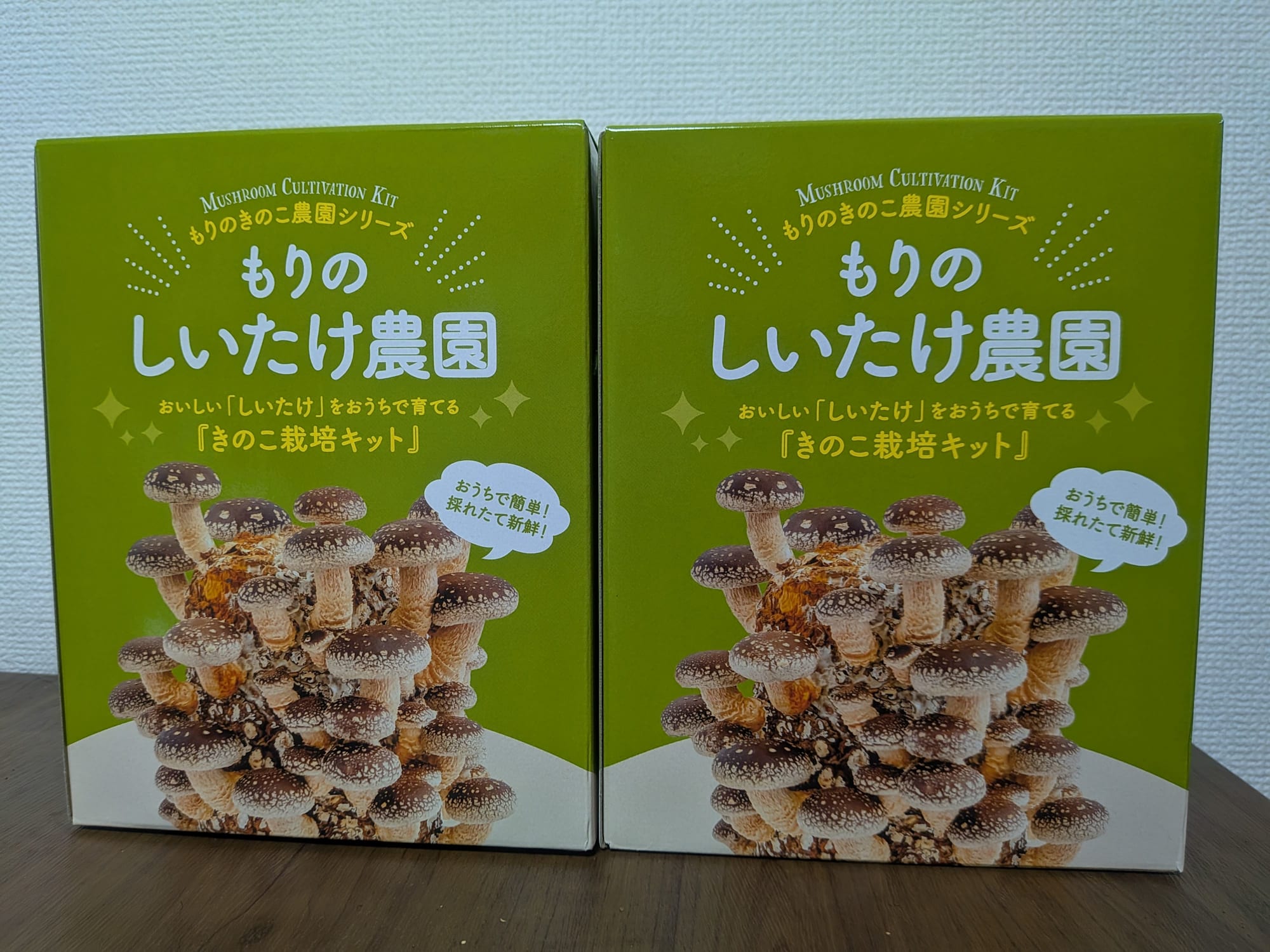 PXL_20250920_055716655