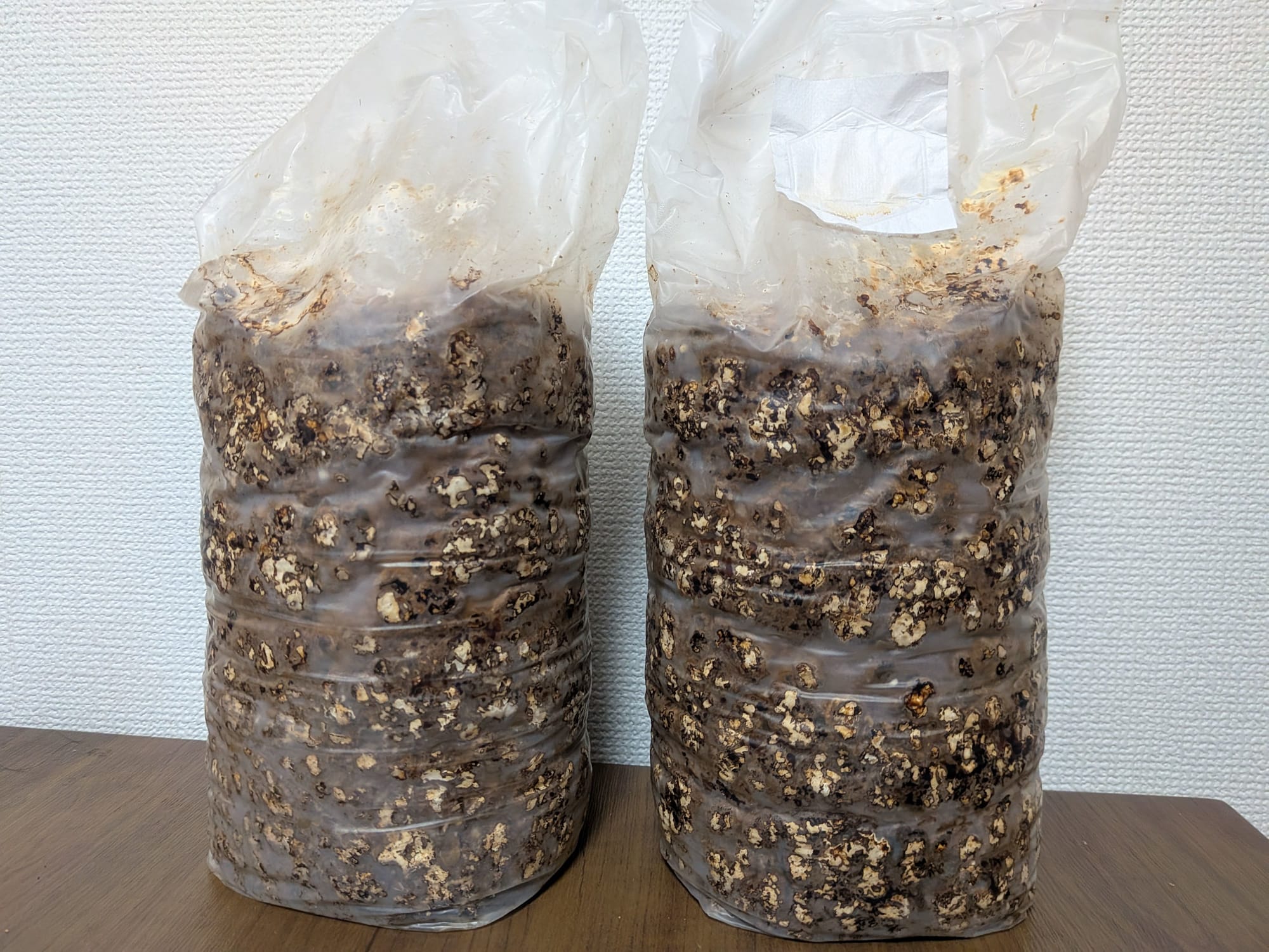 PXL_20250920_055930080