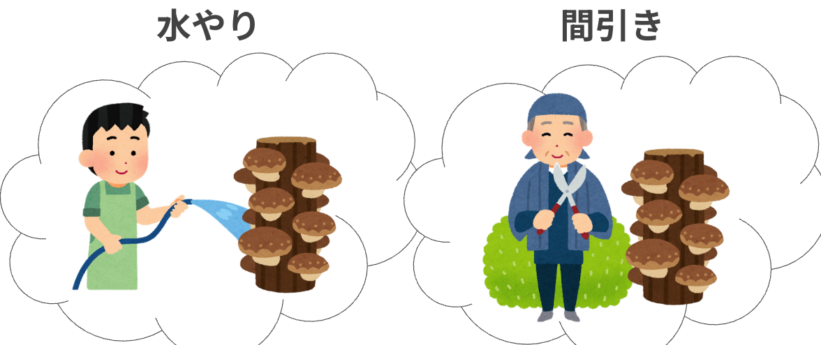 スクリーンショット 2025-10-26 23.52.43