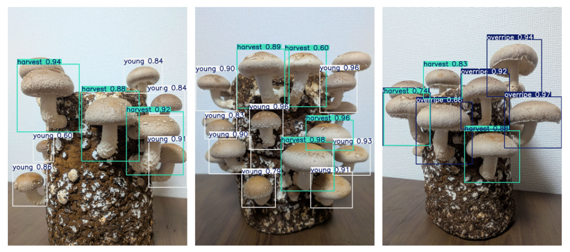 スクリーンショット 2025-10-27 1.41.09