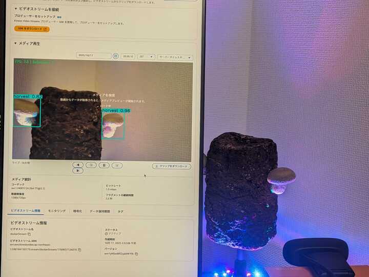 pxl_20251017_112633831_720