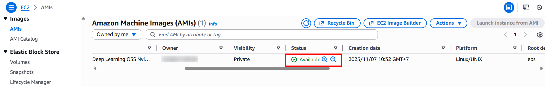 create_ami_n_virginia-3