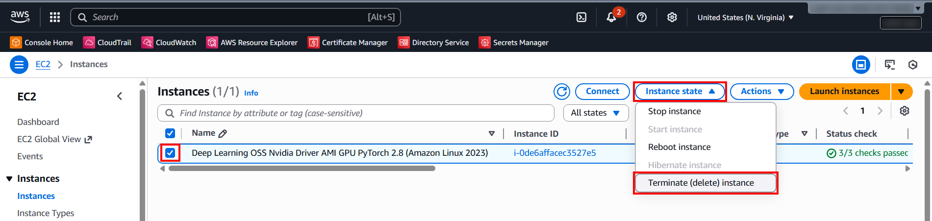 delete_resource_in_n_virginia-1