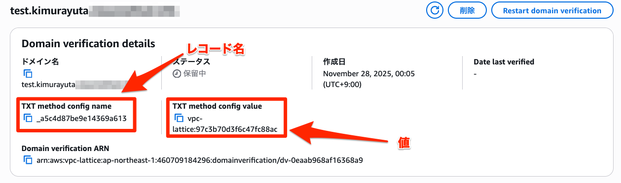 Domain_verification_details___VPC_Console