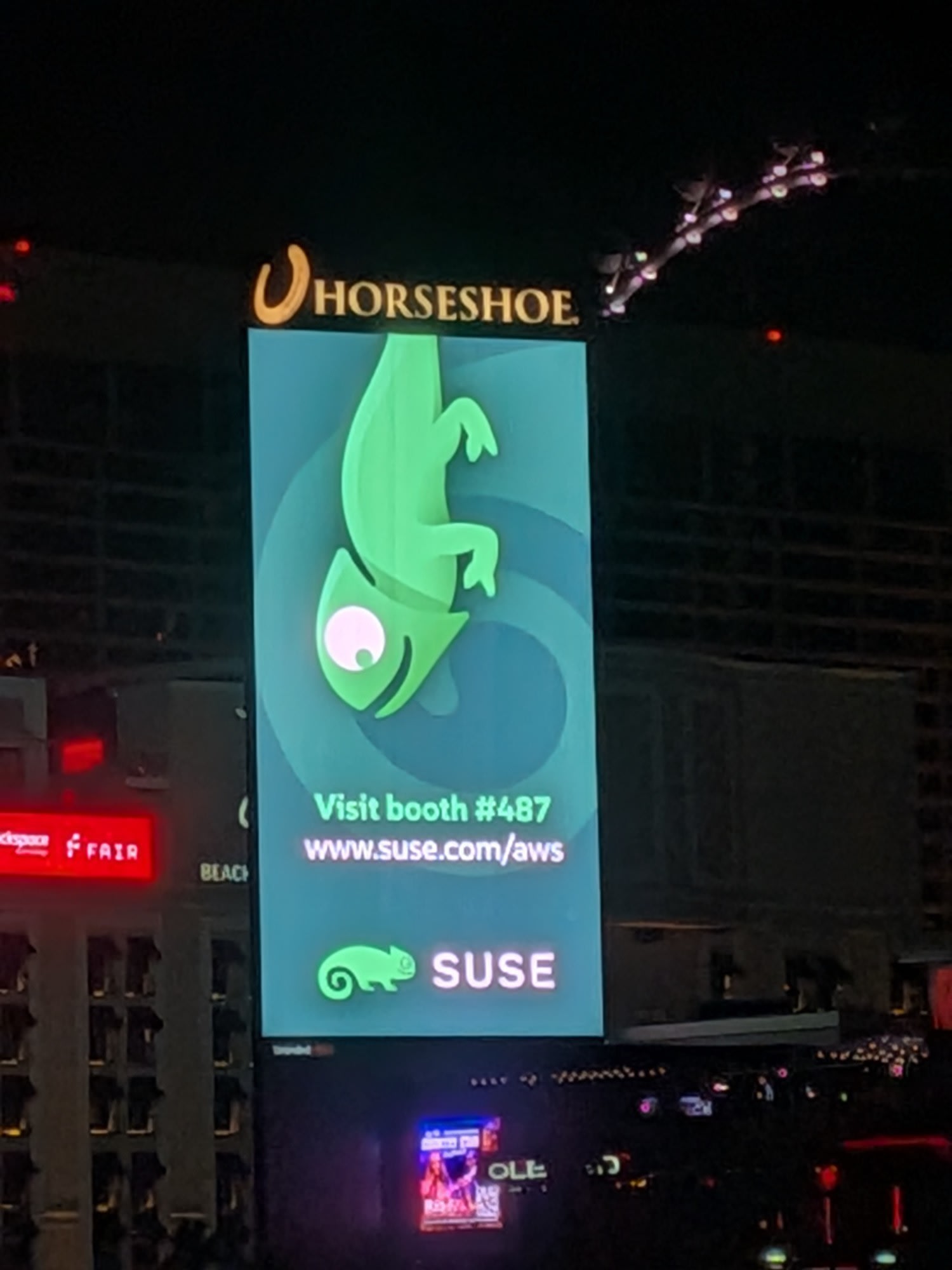 PXL_20251203_052812348_copy_1500x2000