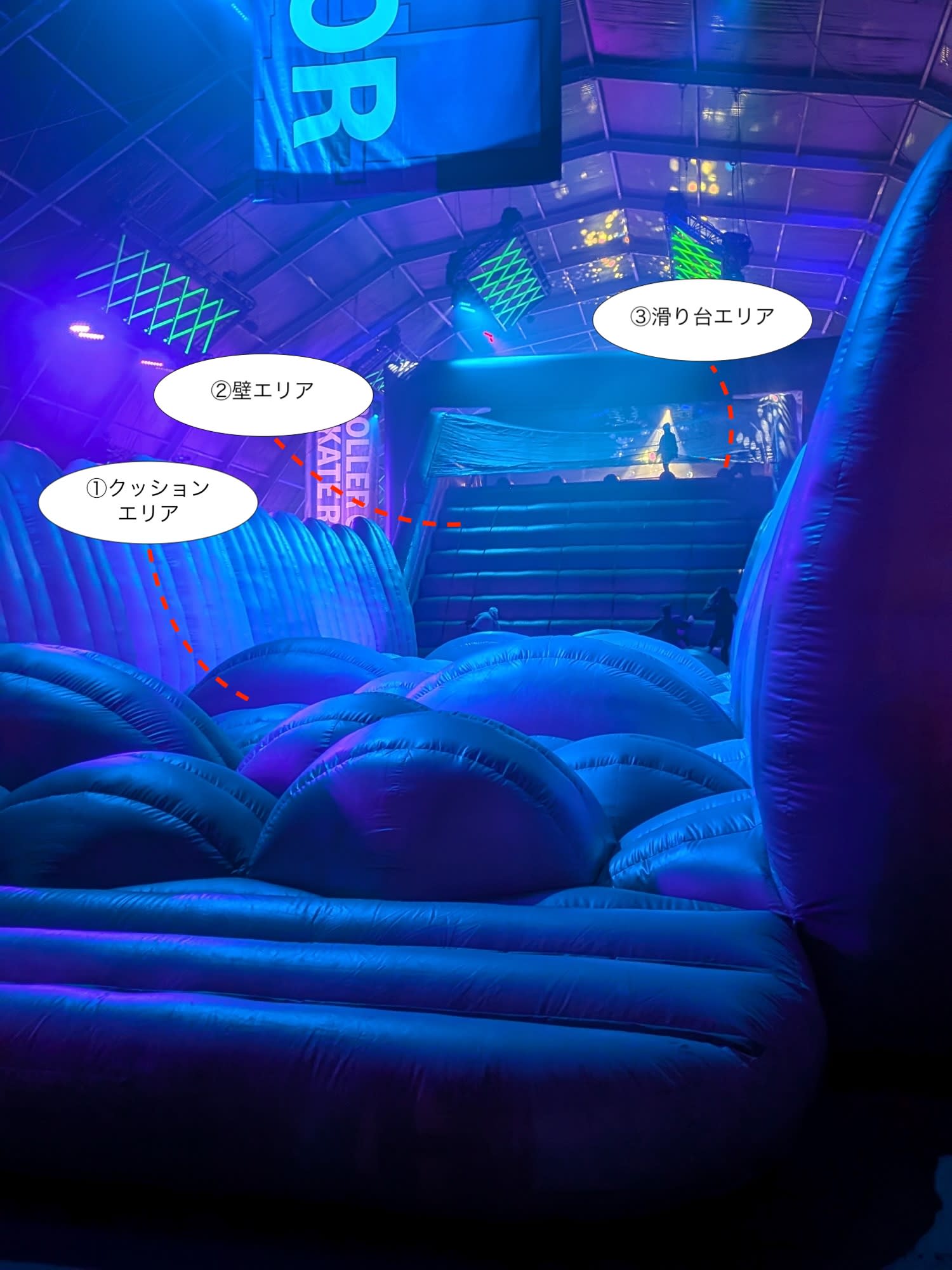 PXL_20251205_055102966_copy_1500x2000のコピー