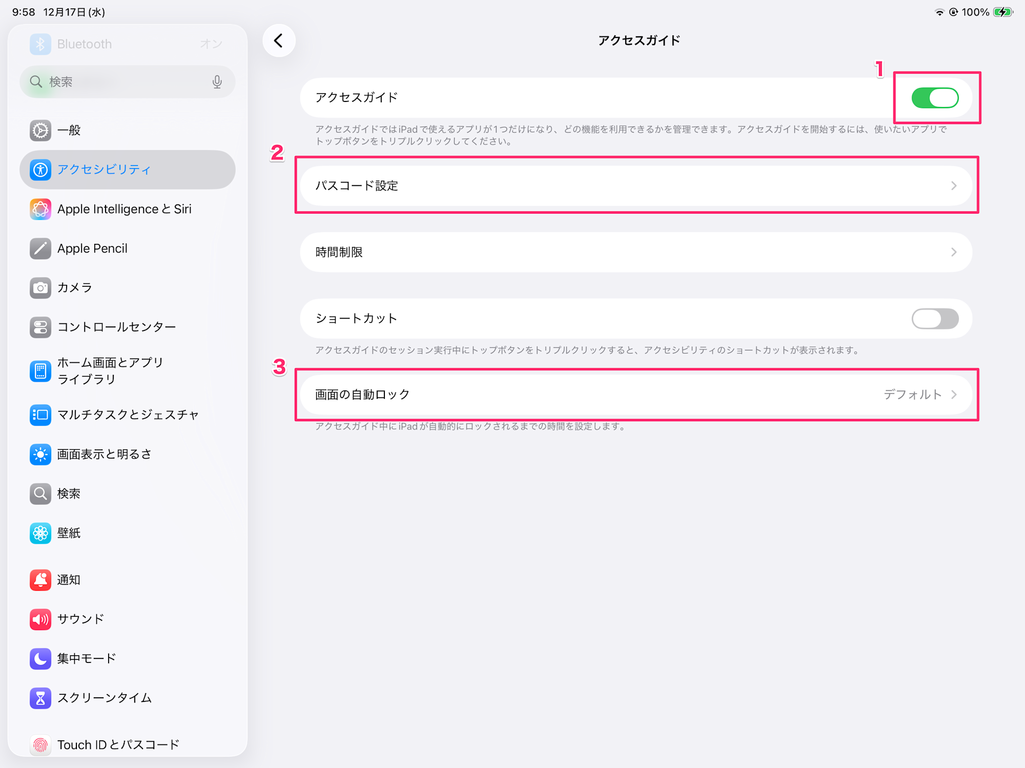 about_ios_access_guide_2