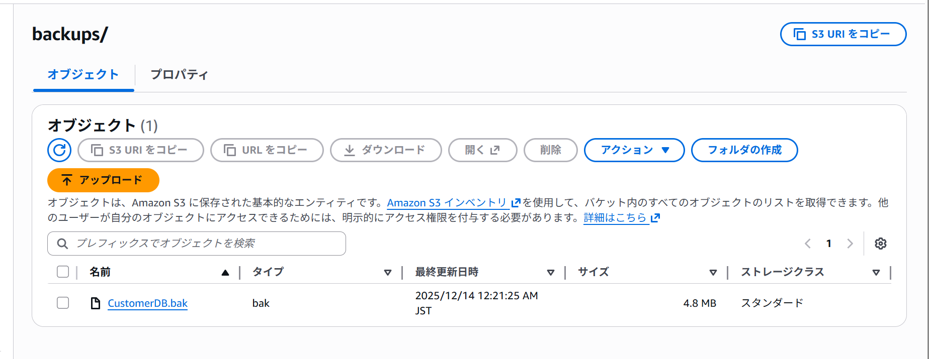 image-12-14-2025_12_28_AM