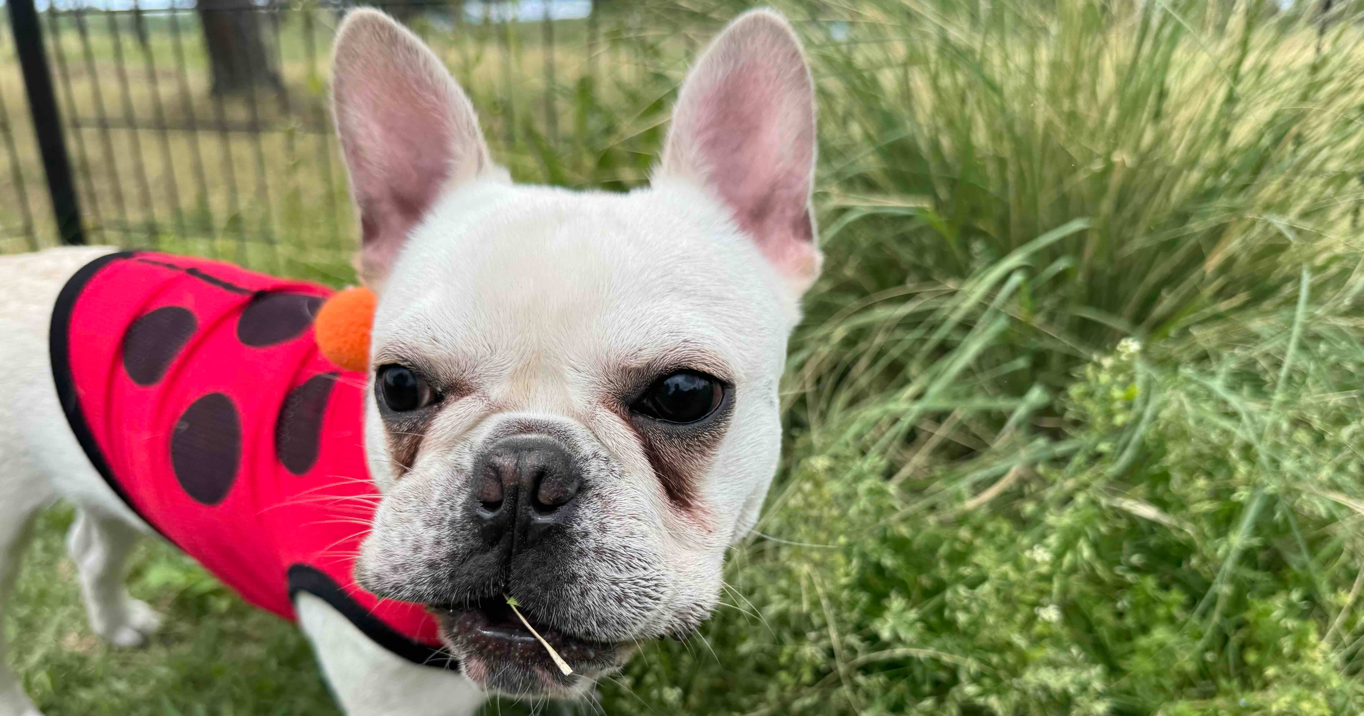 リテールアプリ共創部にジョインしたオシオです