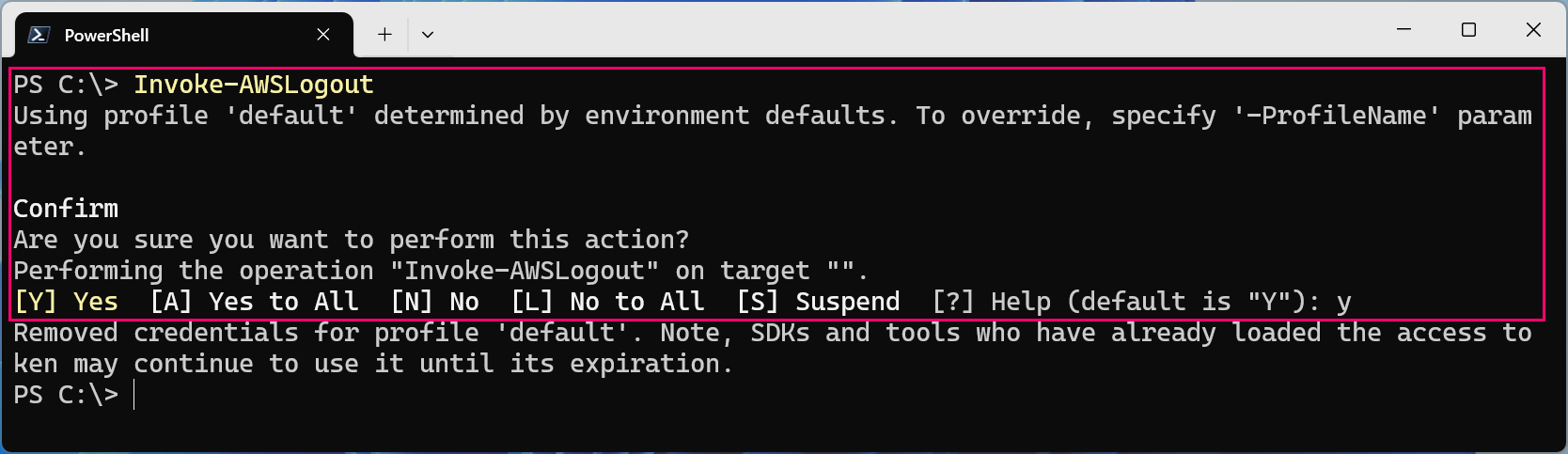 aws-tools-for-powershell-invoke-awslogin-08