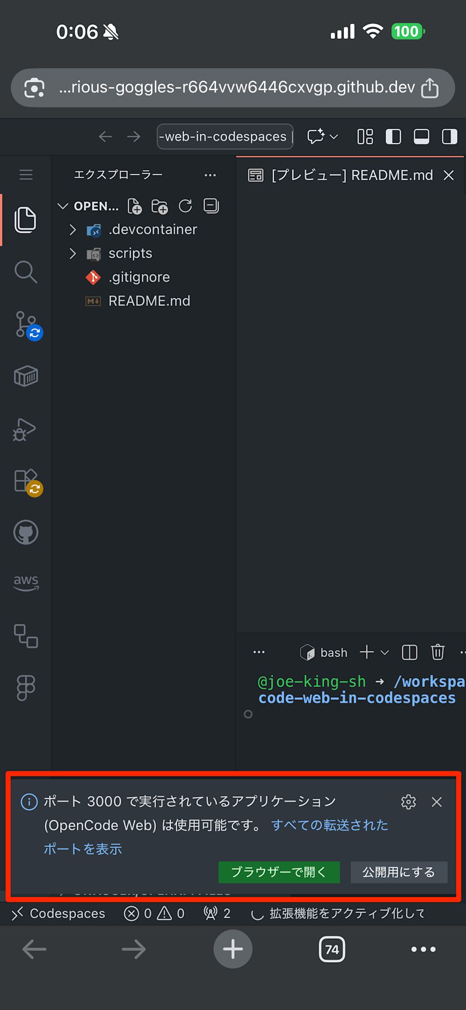4_launch-opencode-web