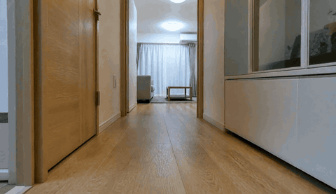 lyra-apartment-hallway-preview